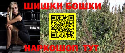 шишки Камышлов