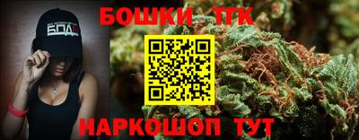 шишки Камышлов