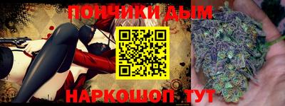 шишки Камышлов