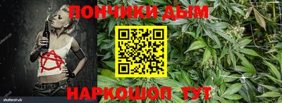 шишки Камышлов