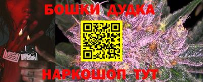 шишки Камышлов